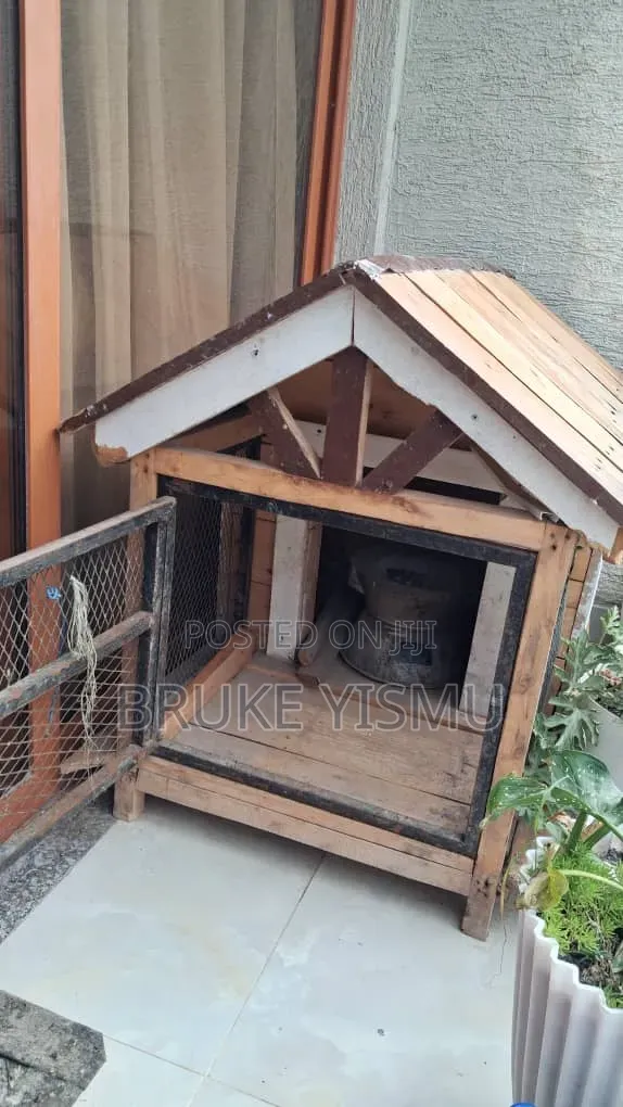 የውሻ ቤት/ Dog House
