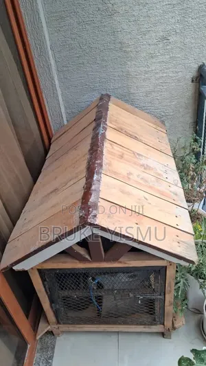 የውሻ ቤት/ Dog House