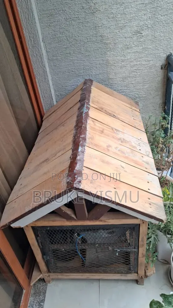 የውሻ ቤት/ Dog House