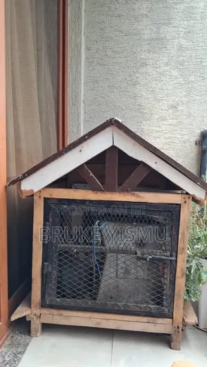 የውሻ ቤት/ Dog House