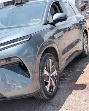 BYD Tang DM-i 2025