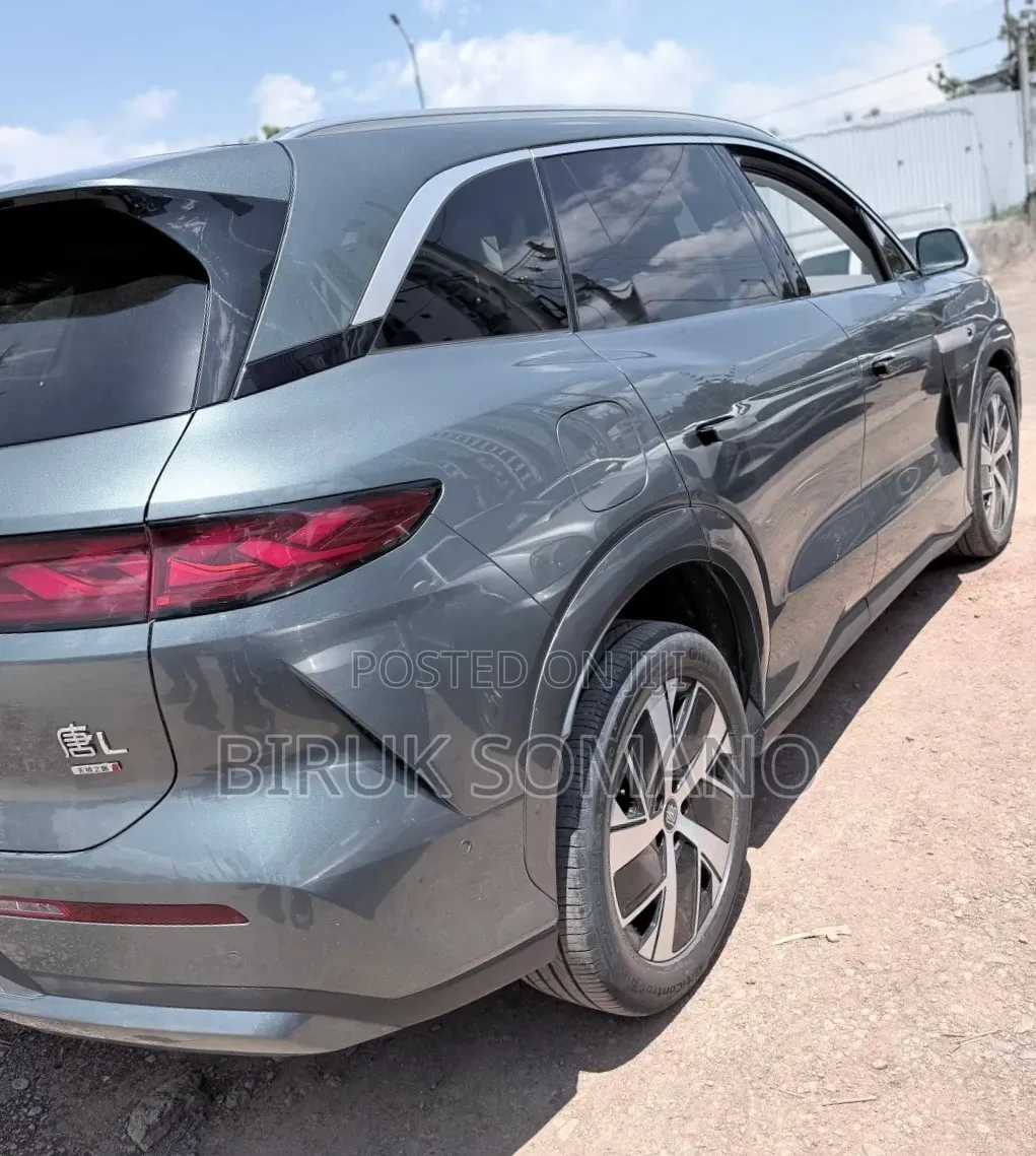 BYD Tang DM-i 2025
