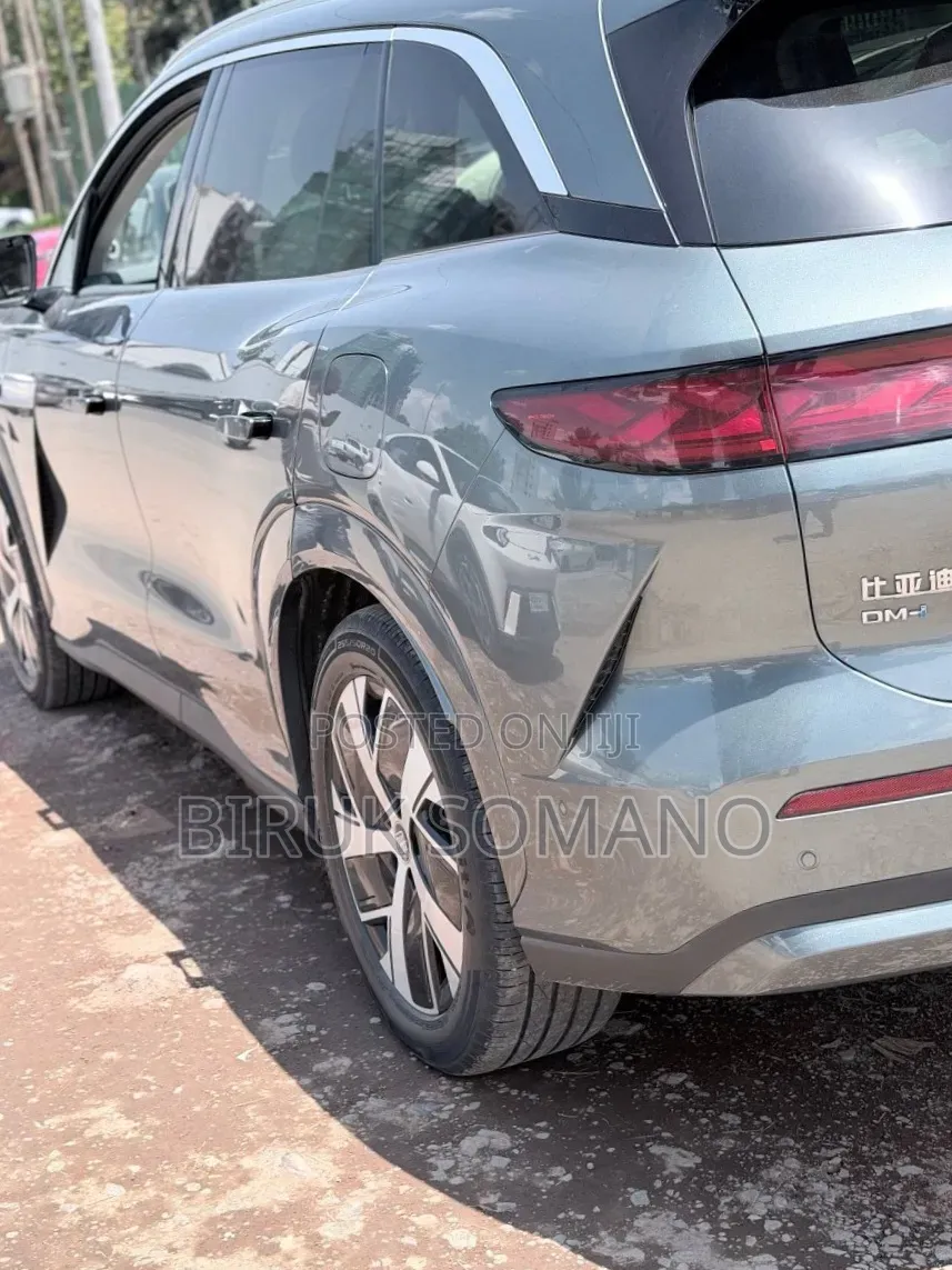 BYD Tang DM-i 2025