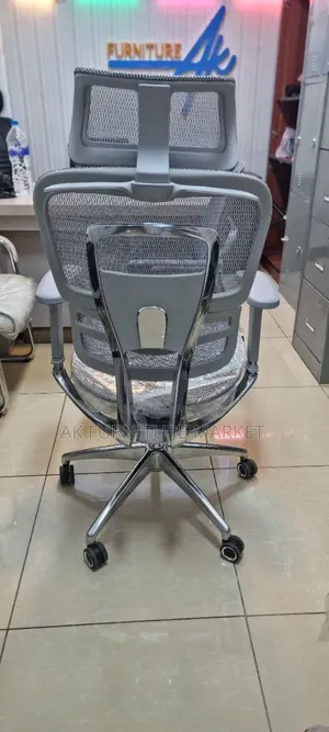 Ergonomic Chair