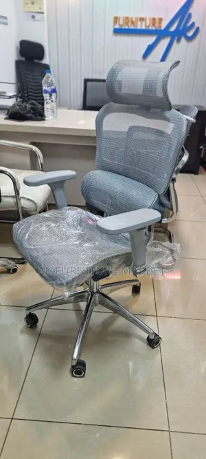 Ergonomic Chair