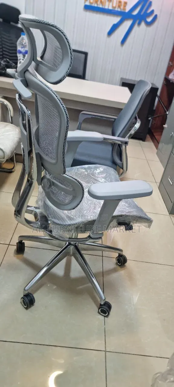 Ergonomic Chair