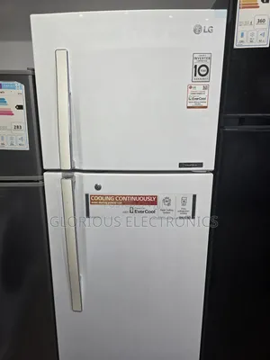 LG 310liters