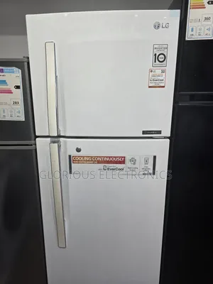 LG 310liters