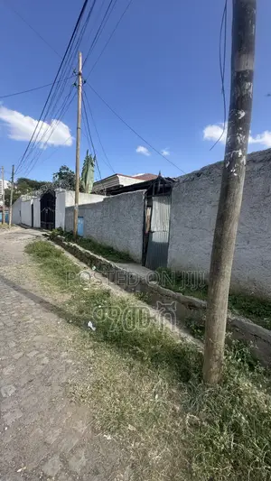 የሚሸጥ መሬት ቦታ ወሰን አካባቢ