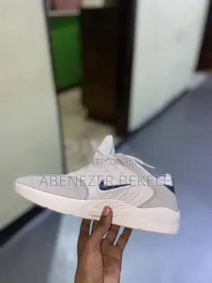 Nike Sb Shoes