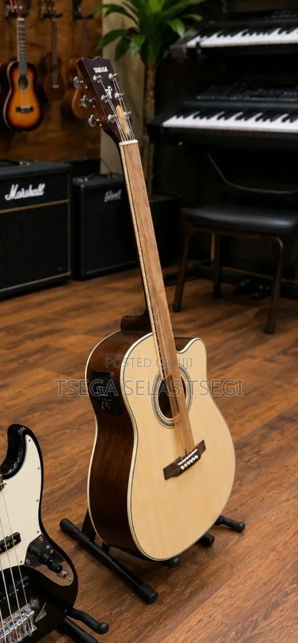 New Electric Guitar