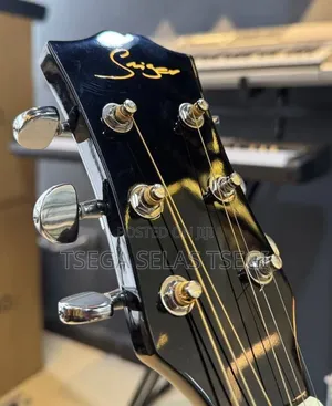New Electric Guitar
