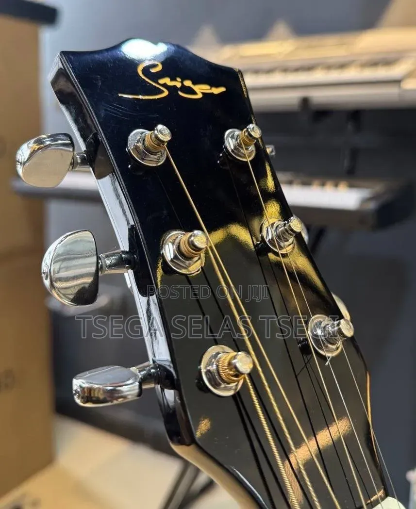 New Electric Guitar