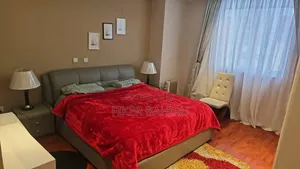 Furnished 3bdrm Apartment in Addis  Abeba, Kirkos for rent