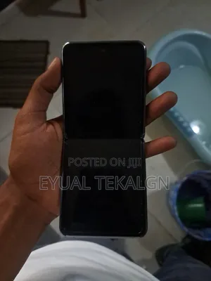 Samsung Galaxy Z Flip 5 256 GB Gray