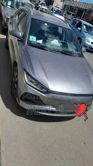 BYD E2 43 kWh 94 hp FWD 2025 Gray