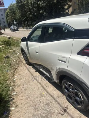 BYD Seagull 2025 White