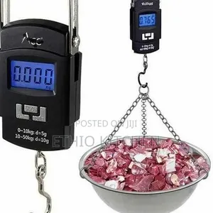 Portable Electronic Scale