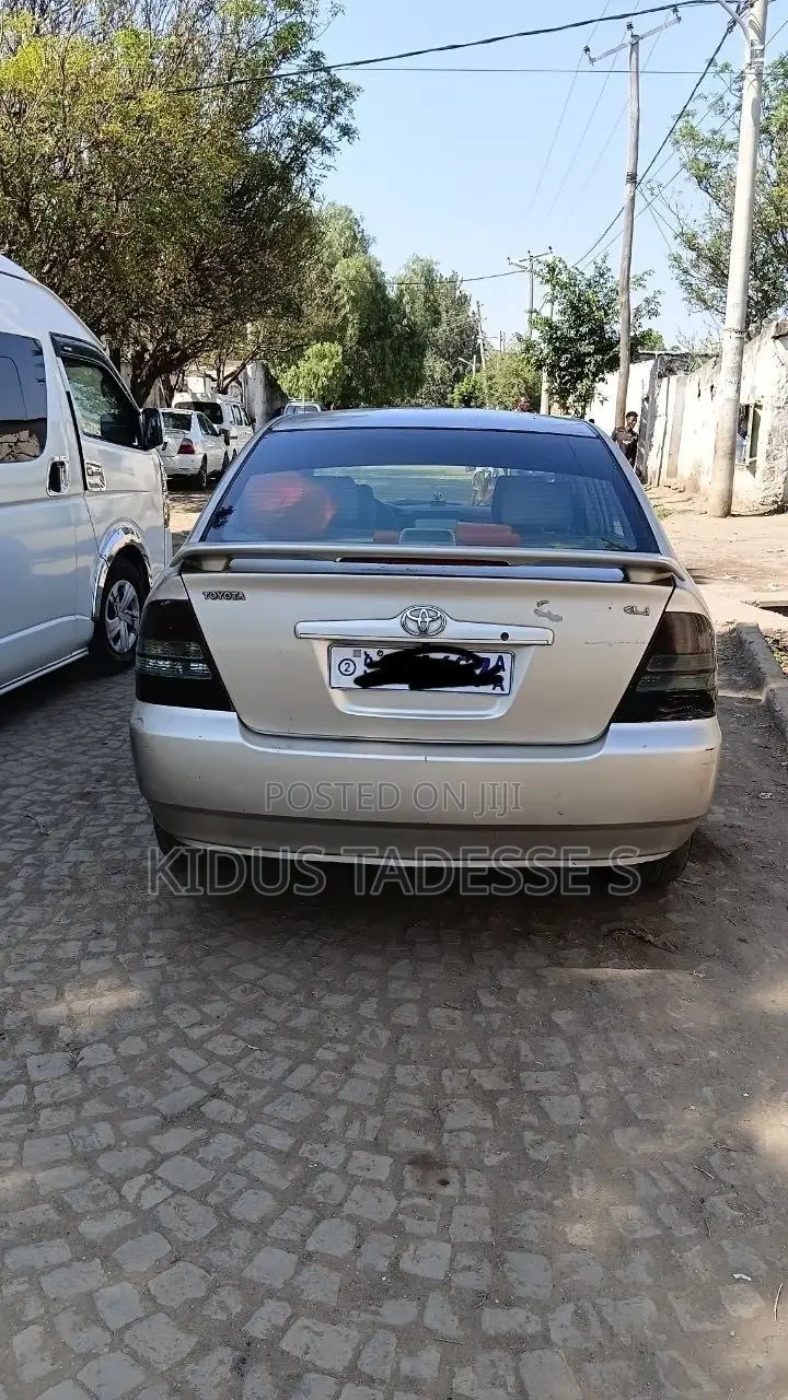 Toyota Corolla 2002 Gray
