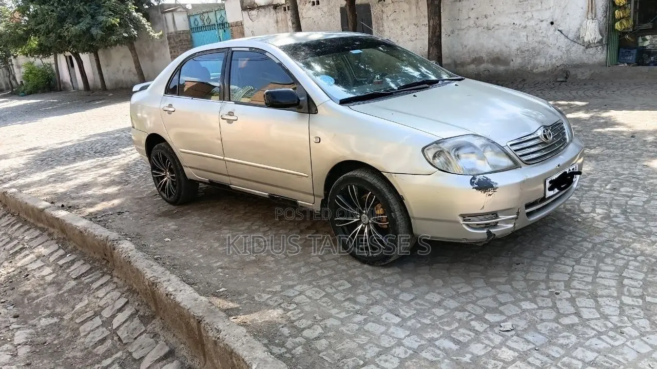 Toyota Corolla 2002 Gray