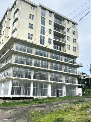 Furnished 3bdrm Apartment in Masero Realestate, Bole for sale