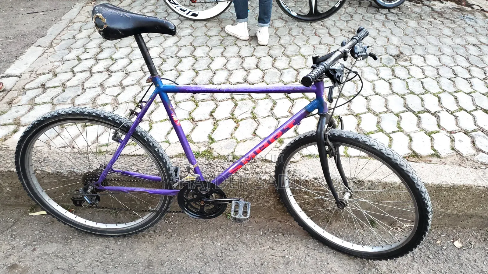 Phoenix Bicycle
