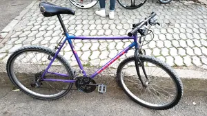 Phoenix Bicycle