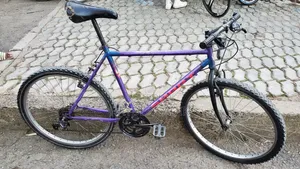 Phoenix Bicycle