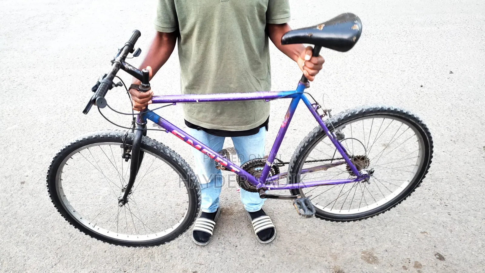 Phoenix Bicycle
