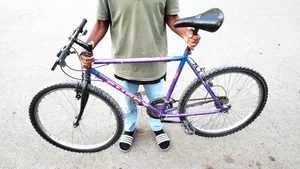 Phoenix Bicycle