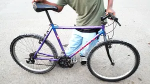 Phoenix Bicycle
