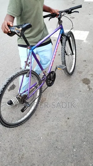 Phoenix Bicycle