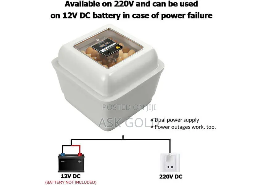 Egg Incubator