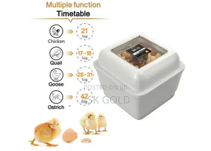 Egg Incubator