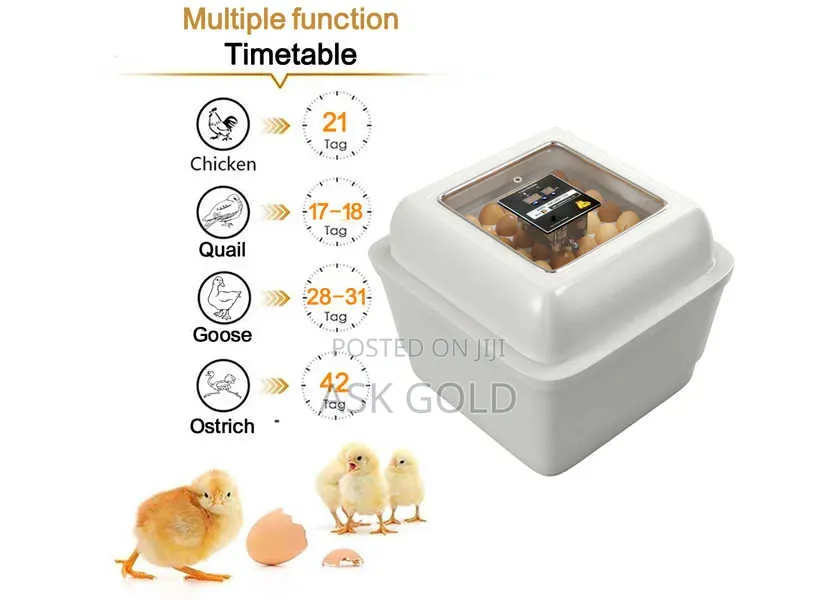 Egg Incubator