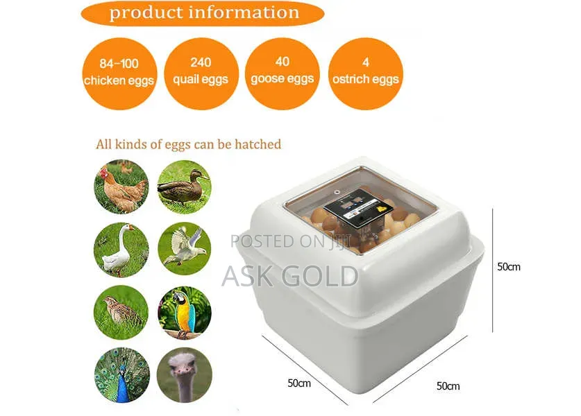 Egg Incubator