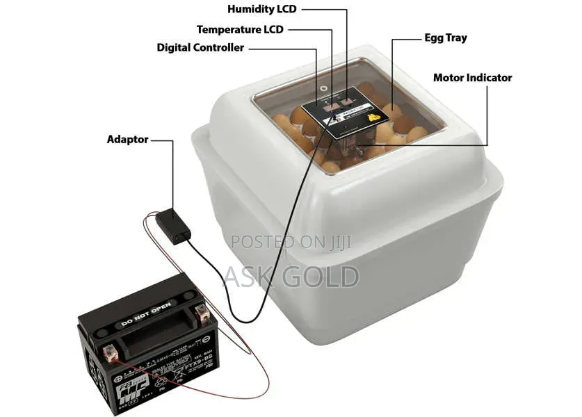 Egg Incubator