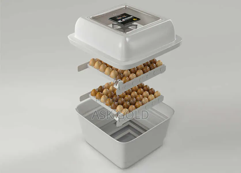 Egg Incubator