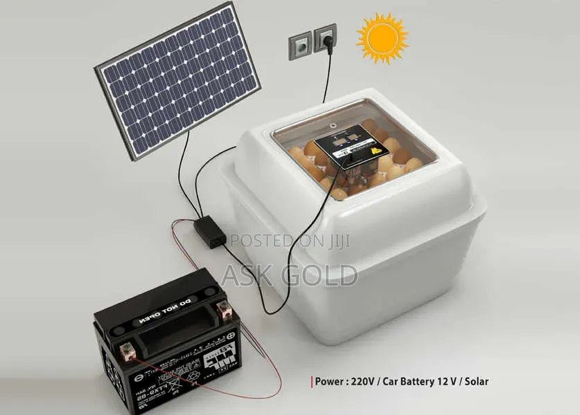 Egg Incubator