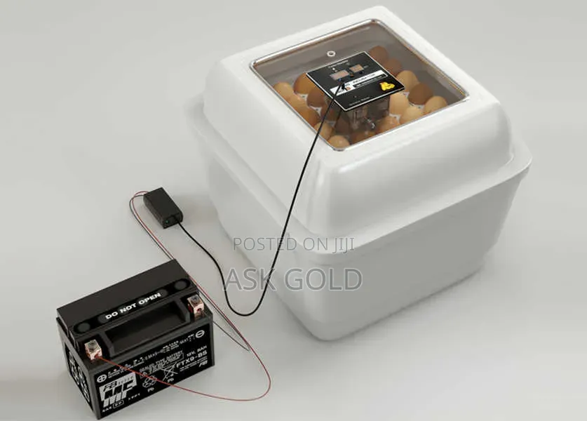 Egg Incubator