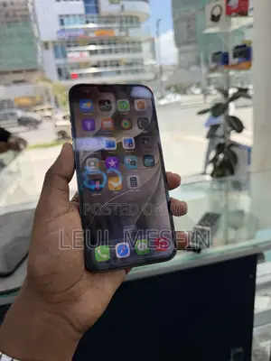 Apple iPhone 13 Pro Max 256 GB Black