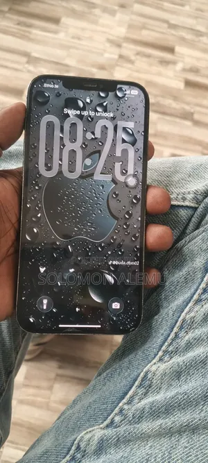 Apple iPhone 12 Pro Max 256 GB Blue