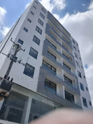 Furnished 3bdrm Apartment in Nifas Silk-Lafto for sale