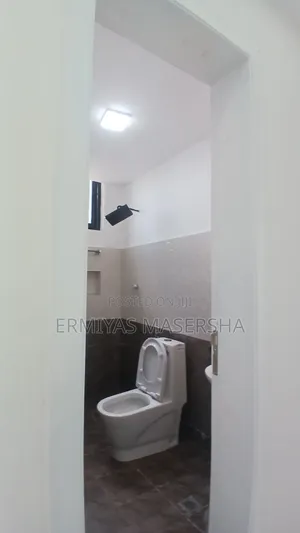 Furnished 3bdrm Apartment in Nifas Silk-Lafto for sale