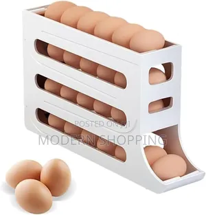 Storage Box for Eggs