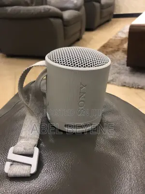 Sony SRS-XB100 Speaker