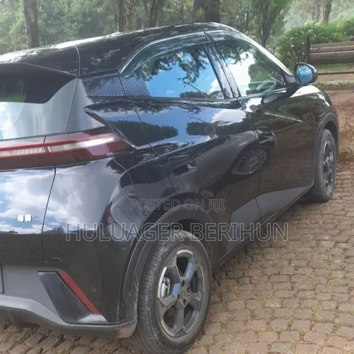 BYD Seagull 2024 Black