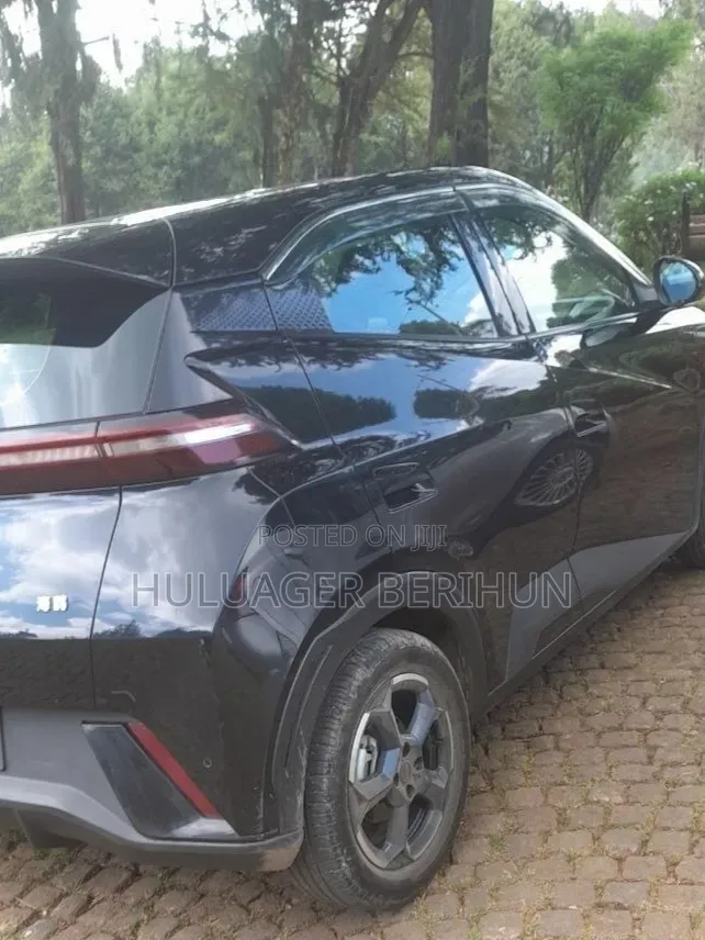 BYD Seagull 2024 Black