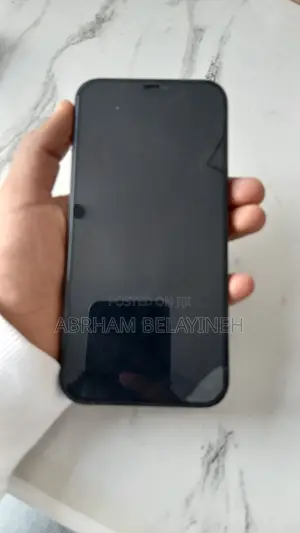 New Apple iPhone 12 Pro Max 256 GB Gray