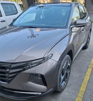 Hyundai Tucson 2021 Gray